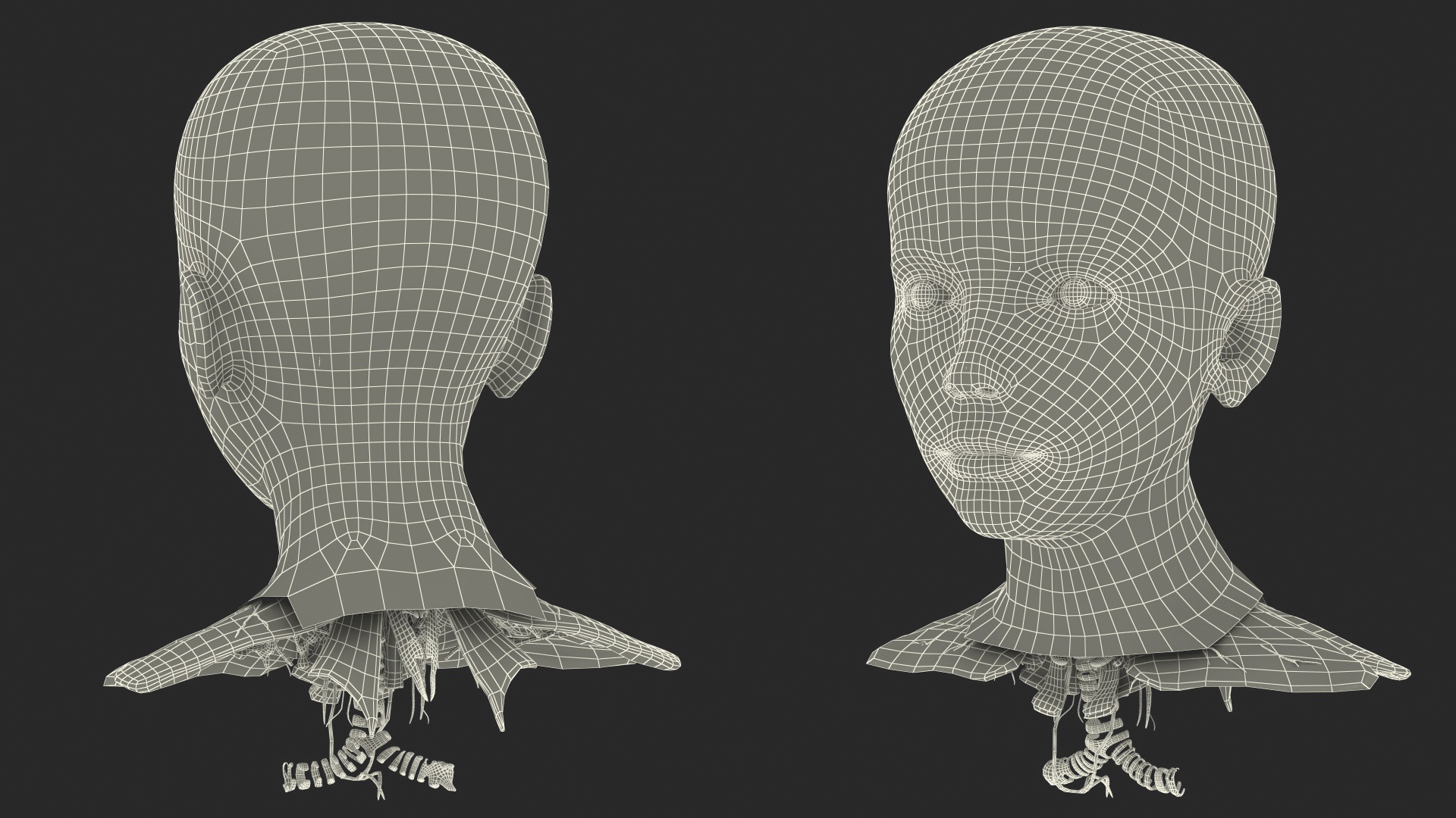 Girl Head Anatomy 3D