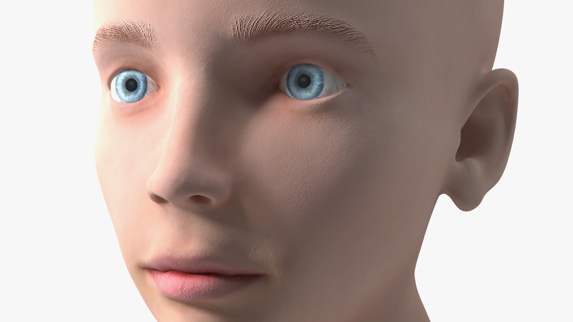 Girl Head Anatomy 3D