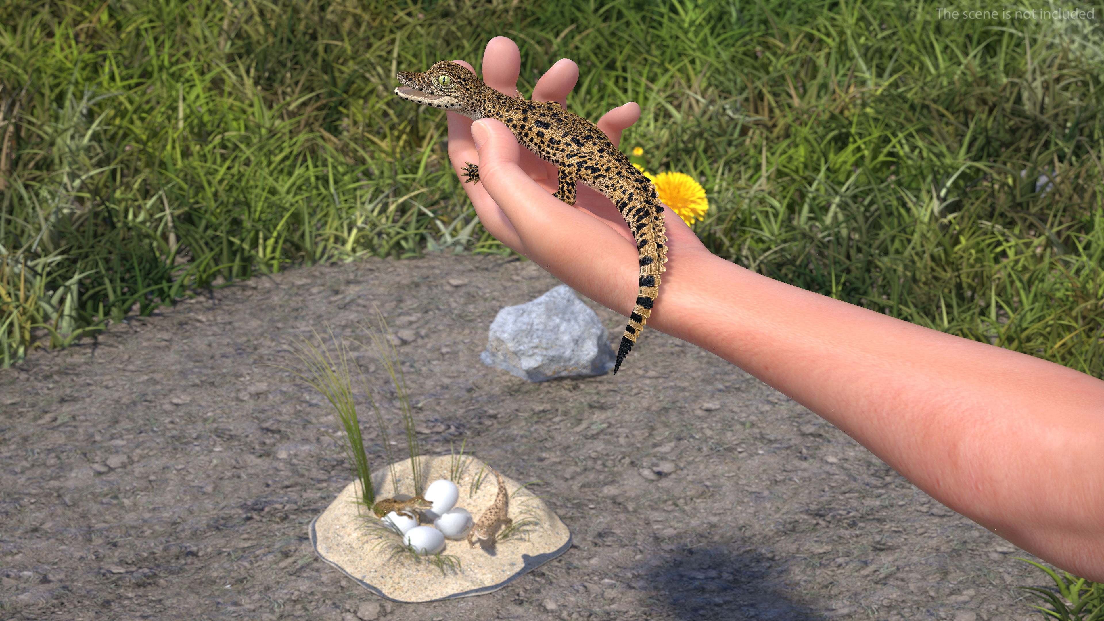 3D Baby Crocodile Man Hand model