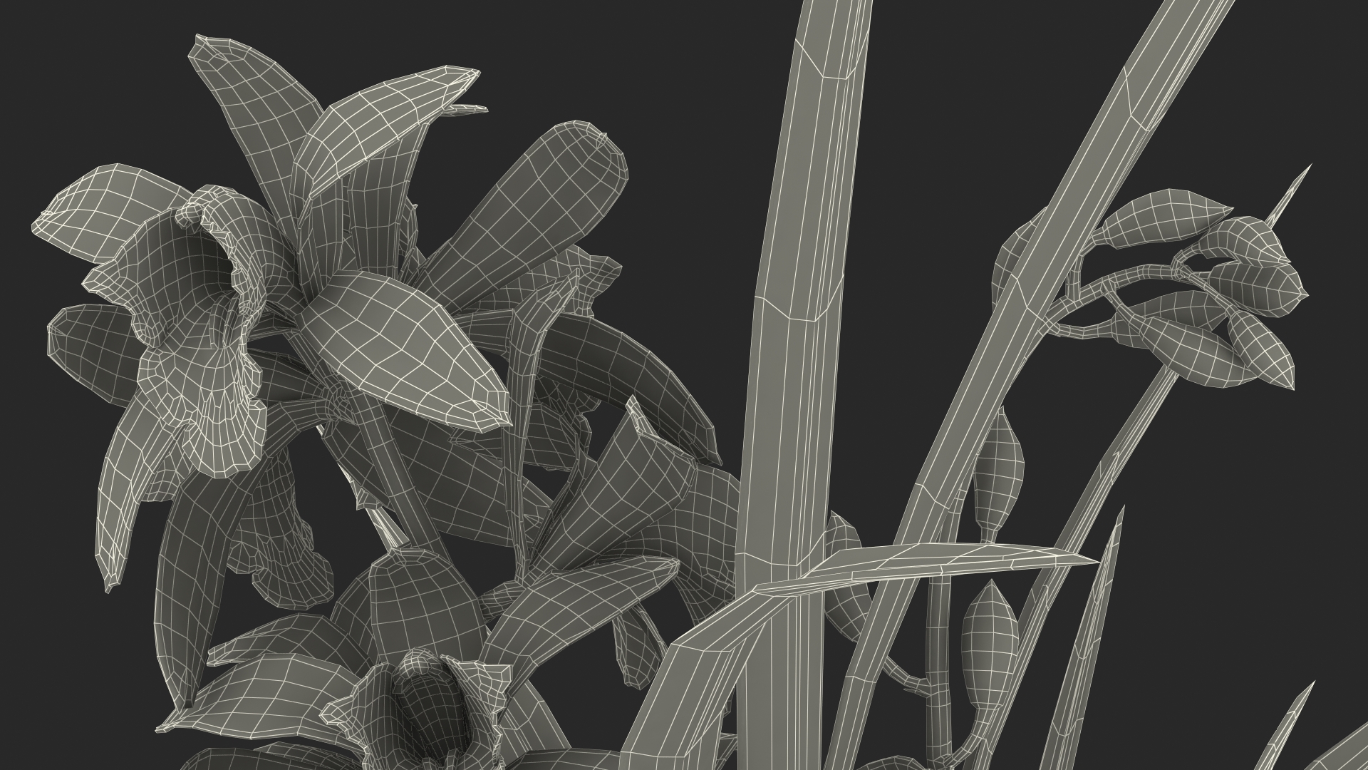 3D model Pink Orchid Pot