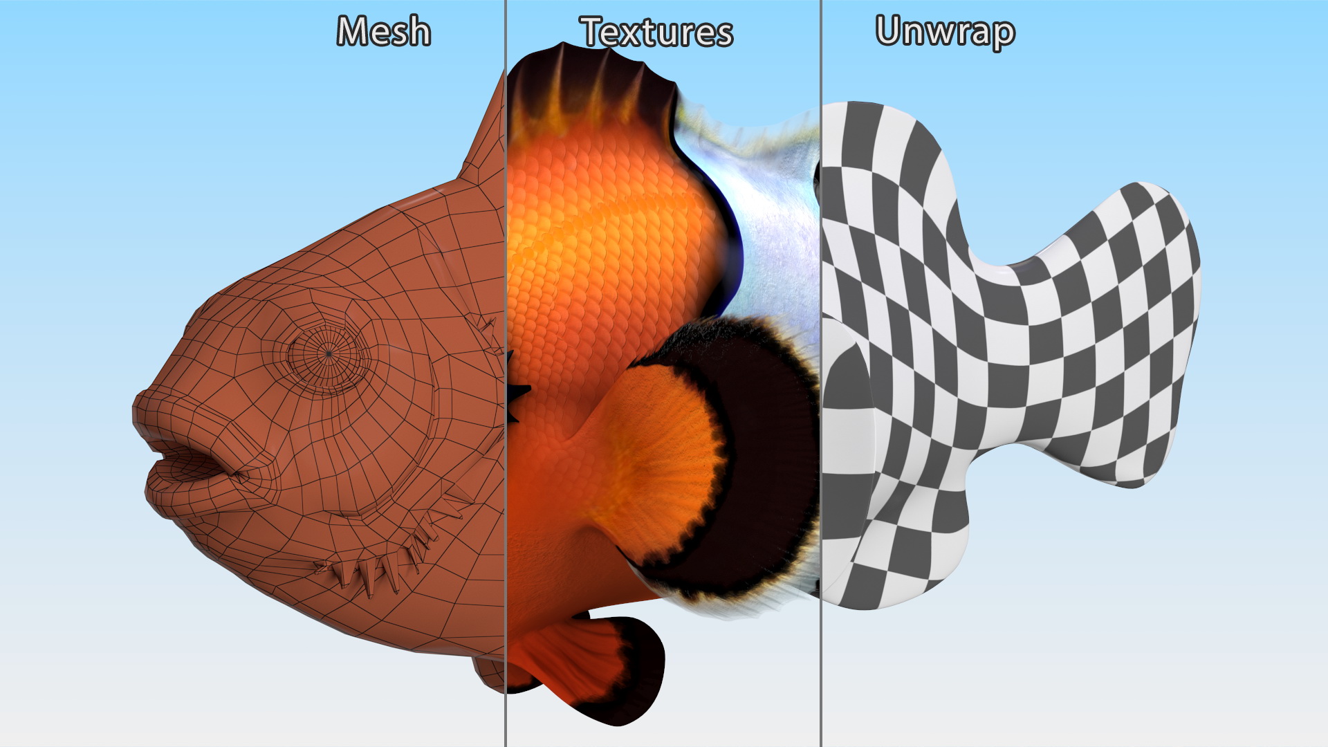 3D Anemonefish