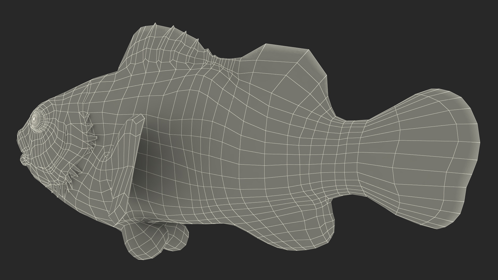 3D Anemonefish