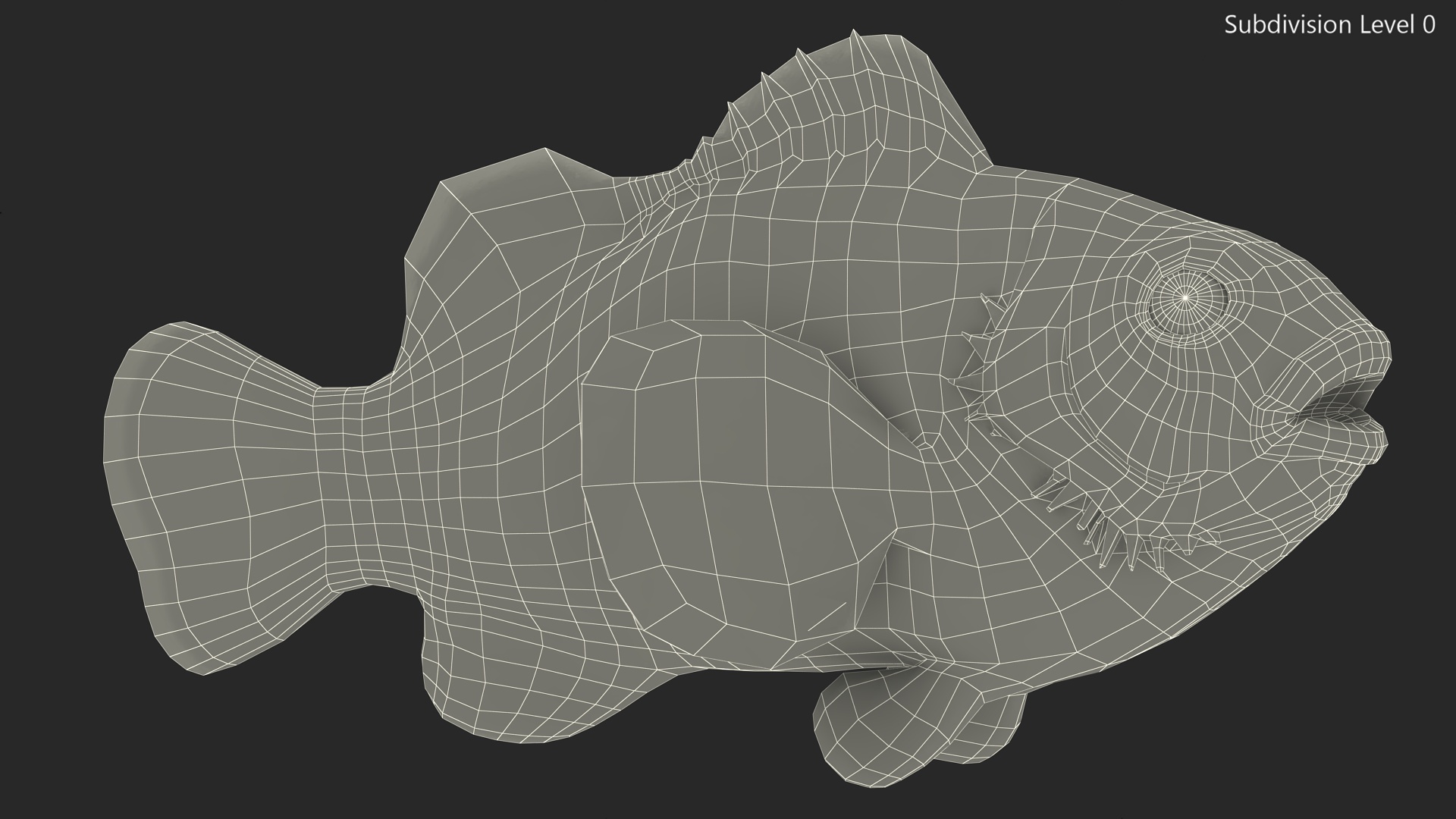 3D Anemonefish
