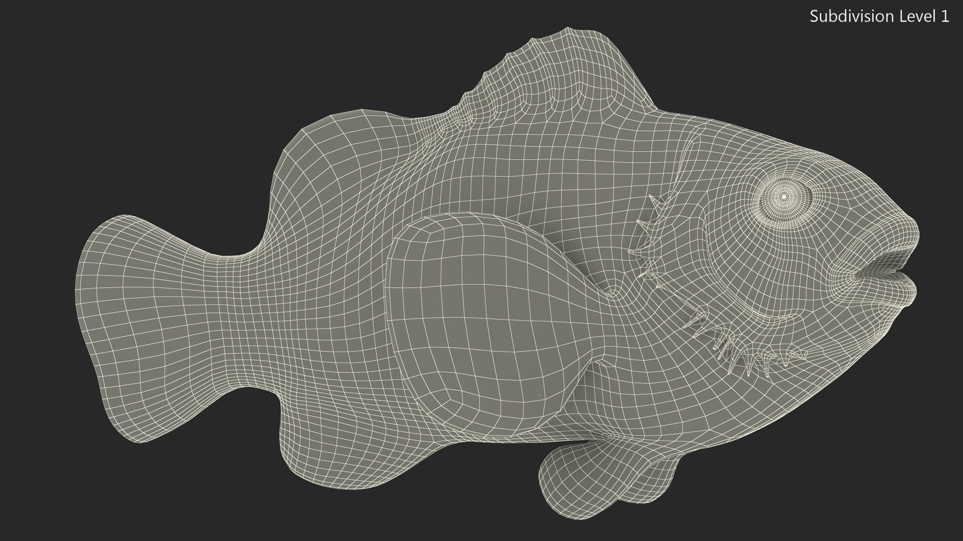 3D Anemonefish