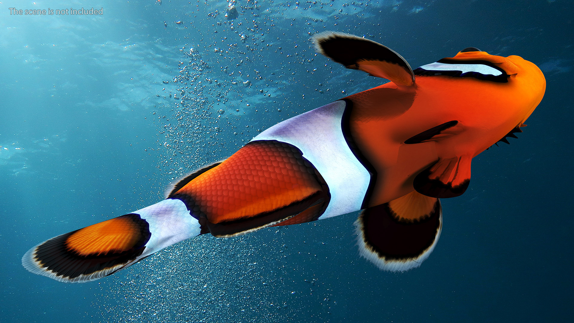 3D Anemonefish