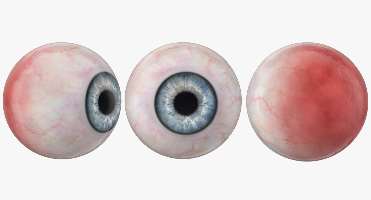Blue Human Eye 3D model