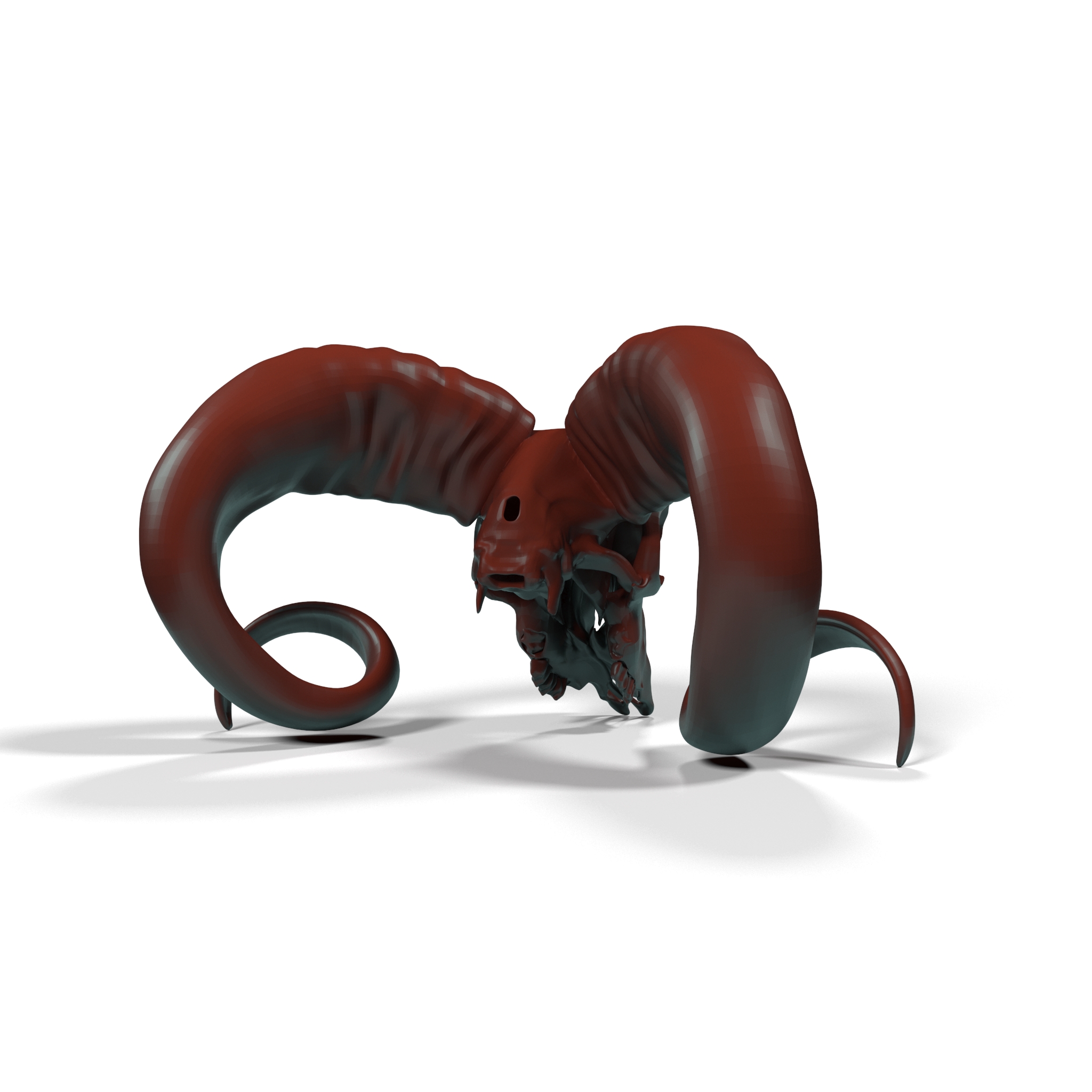 3D model Old Ram Skull with Twisted Horns for 3D Print