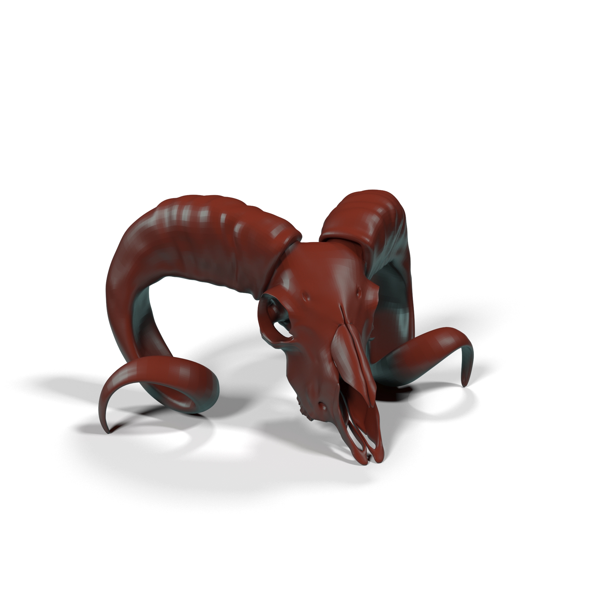 3D model Old Ram Skull with Twisted Horns for 3D Print