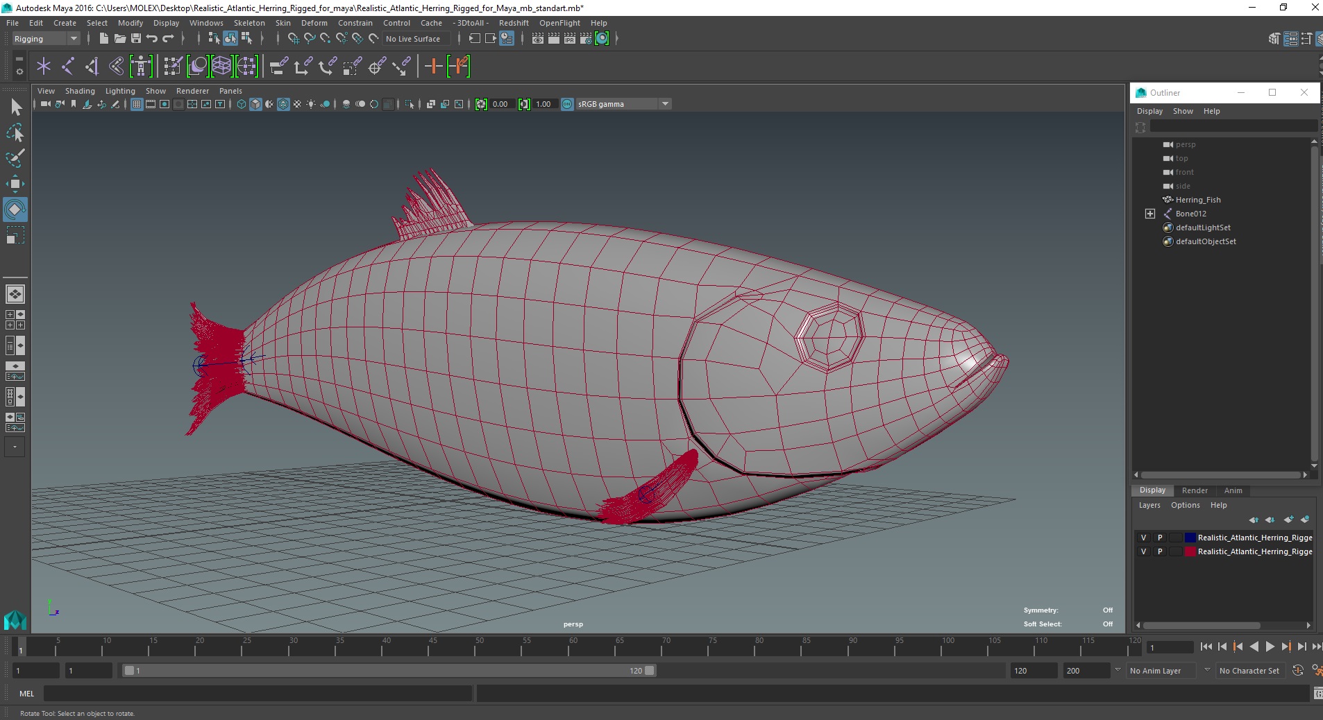 Realistic Atlantic Herring Rigged for Maya 3D