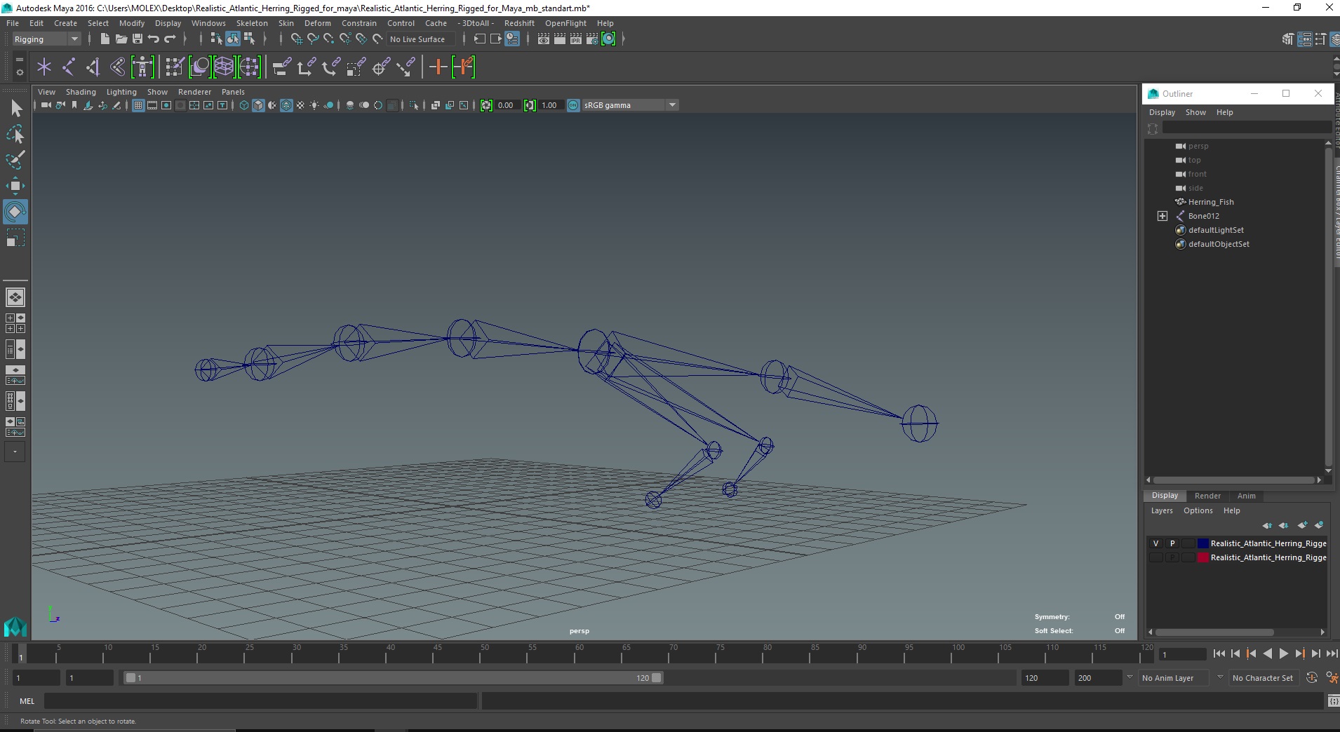 Realistic Atlantic Herring Rigged for Maya 3D