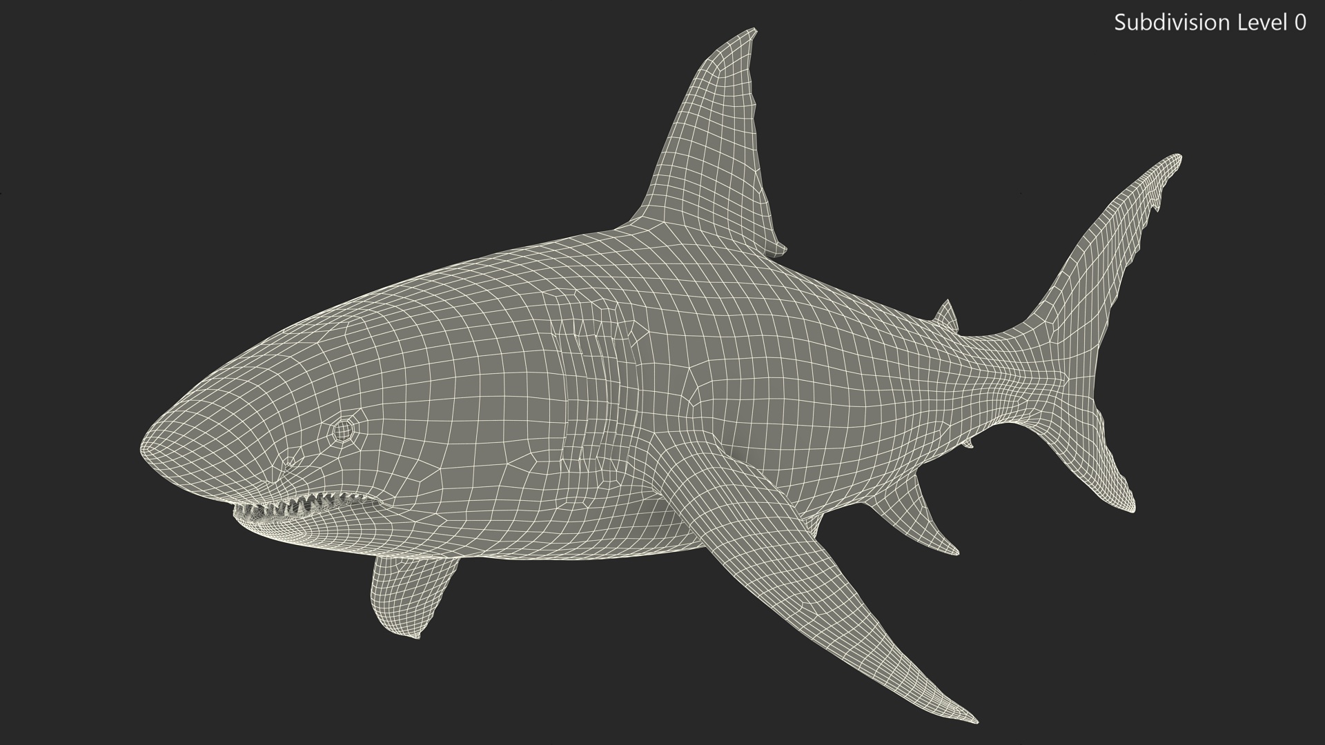 3D Great White Shark Blood Stained Rigged model