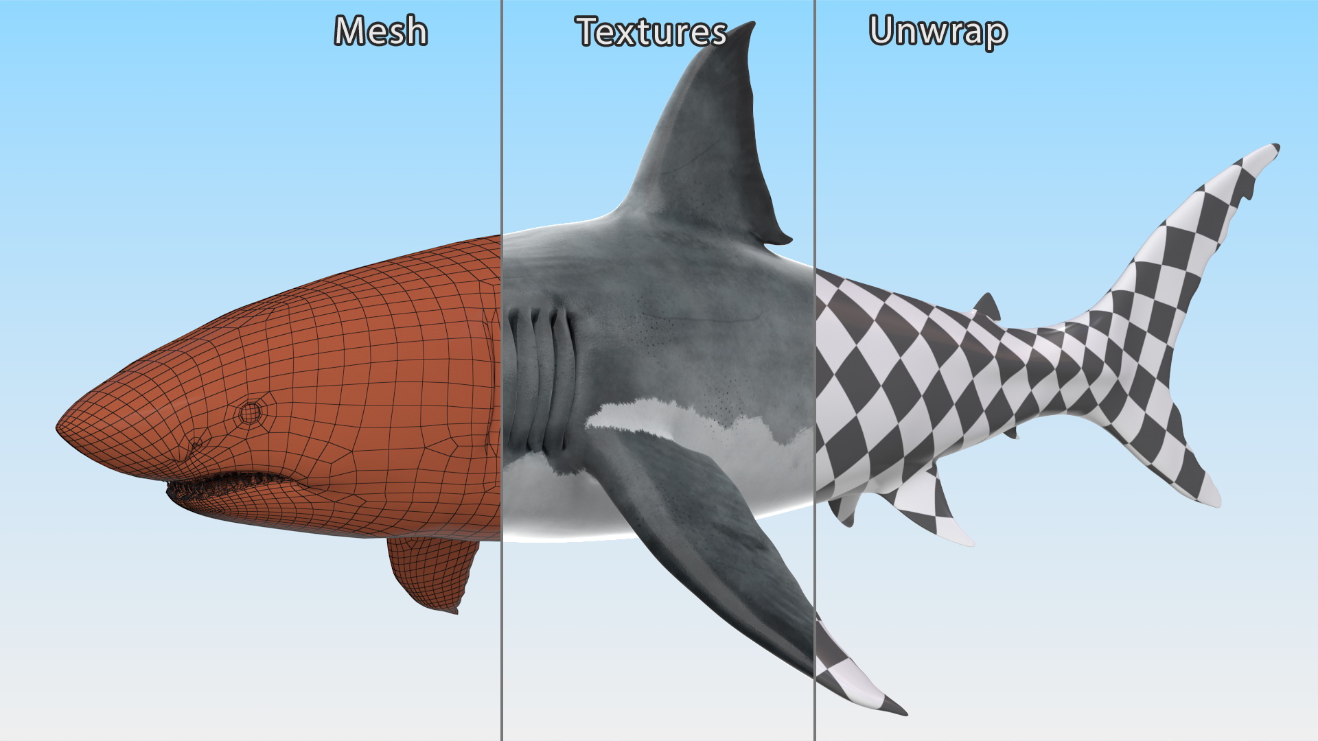 3D Great White Shark Blood Stained Rigged model