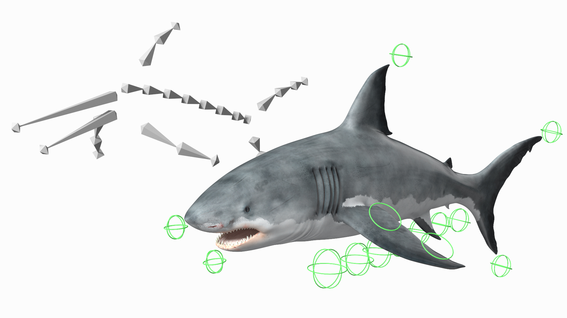 3D Great White Shark Blood Stained Rigged model