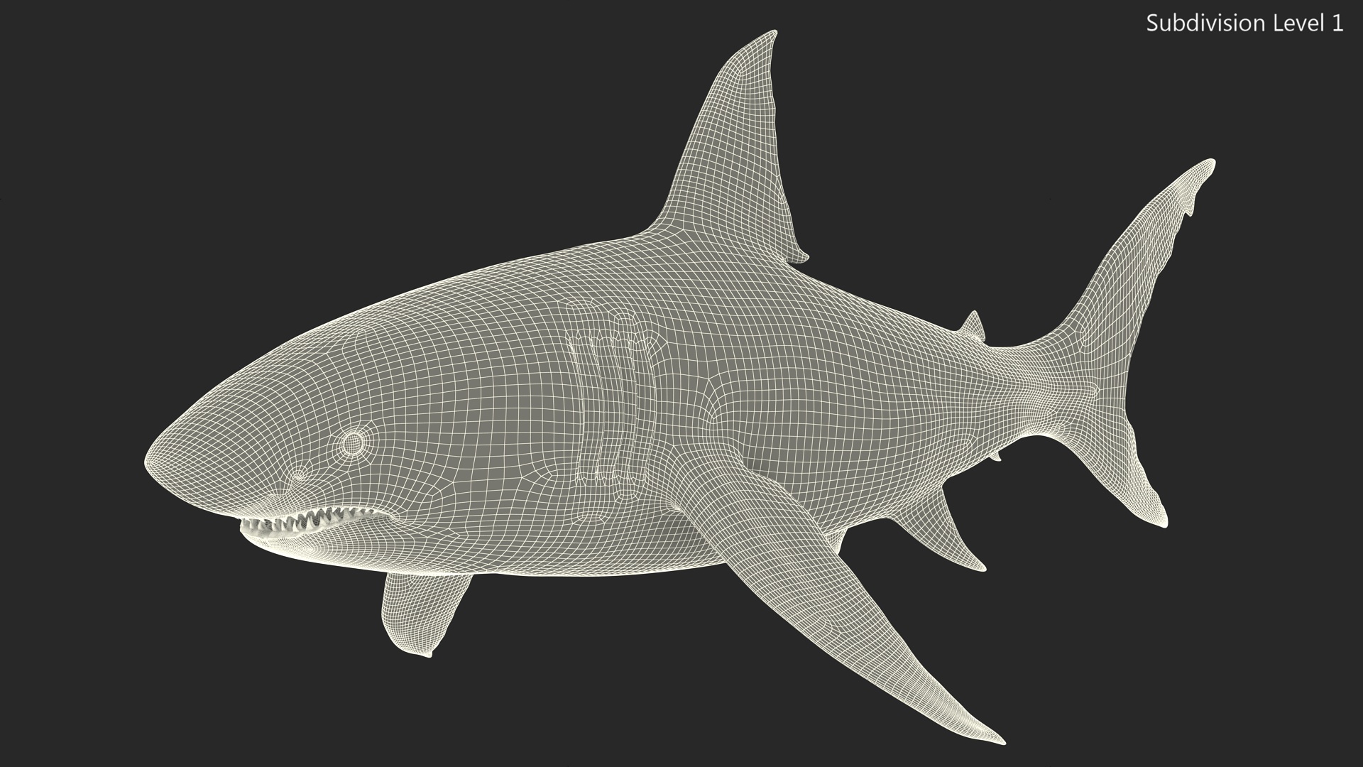 3D Great White Shark Blood Stained Rigged model