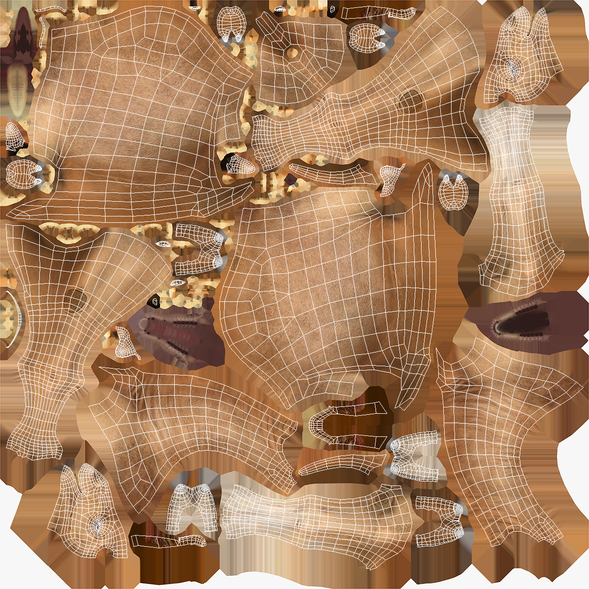 3D Camel Rigged with Fur