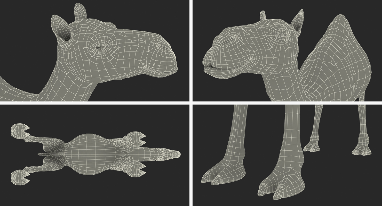 3D Camel Rigged with Fur