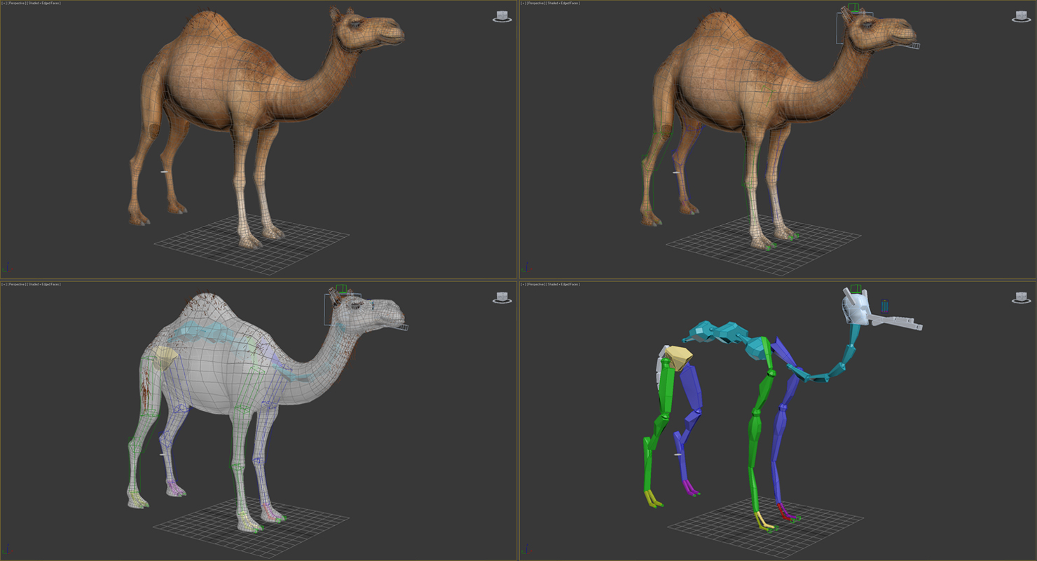 3D Camel Rigged with Fur