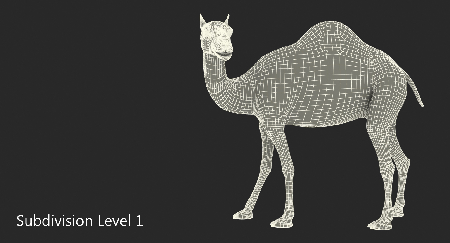 3D Camel Rigged with Fur