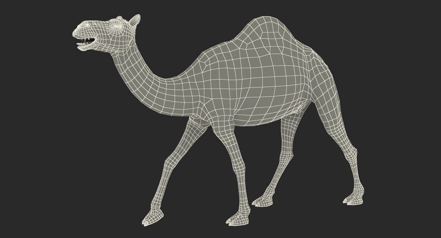 3D Camel Rigged with Fur