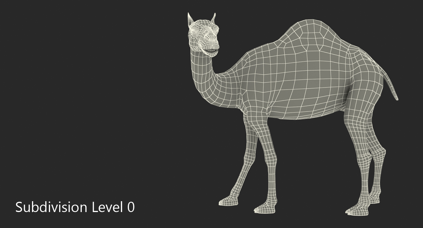 3D Camel Rigged with Fur