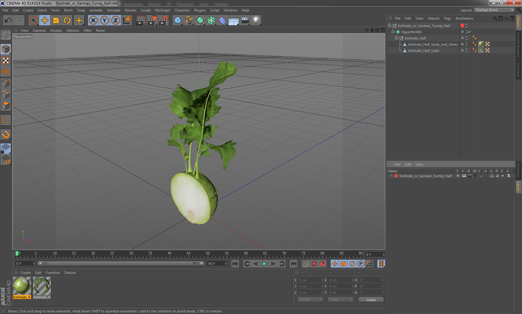 3D model Kohlrabi or German Turnip Half