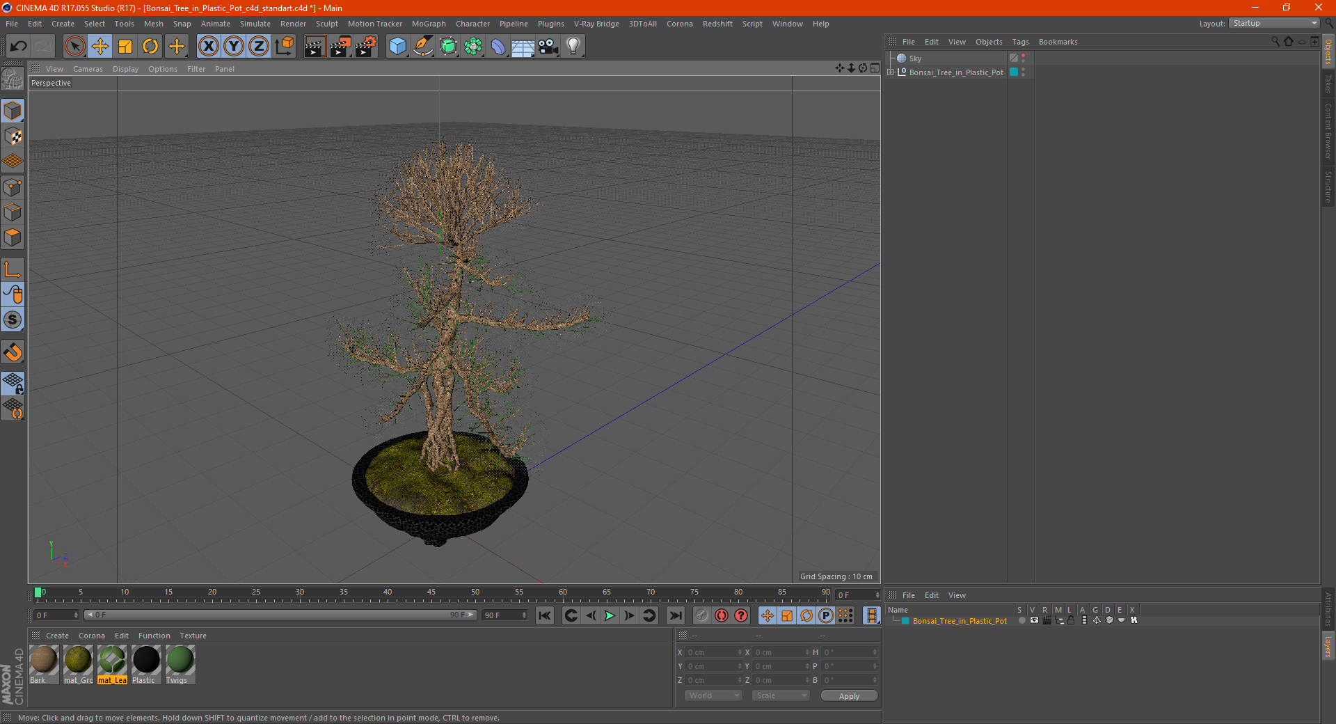 3D Bonsai Tree in Plastic Pot