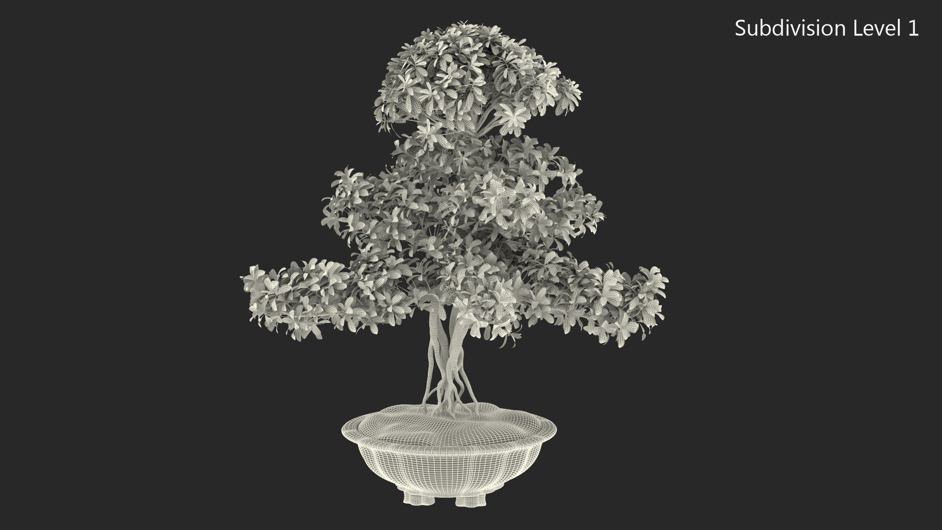 3D Bonsai Tree in Plastic Pot