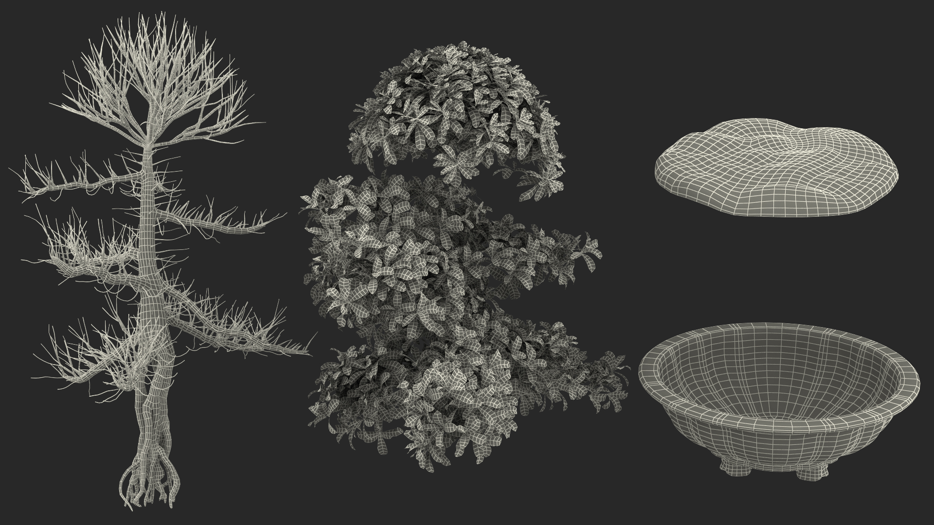3D Bonsai Tree in Plastic Pot