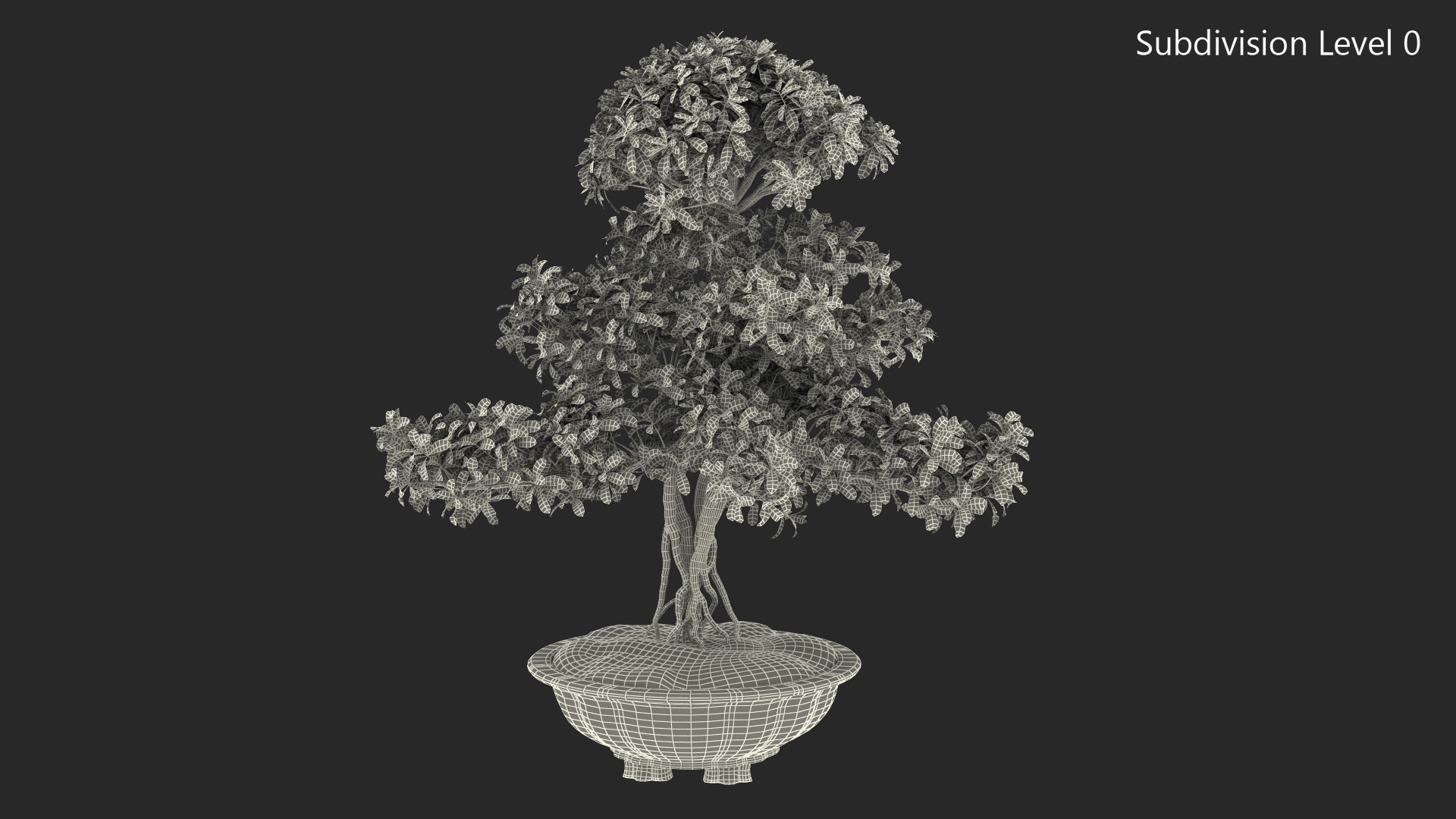 3D Bonsai Tree in Plastic Pot