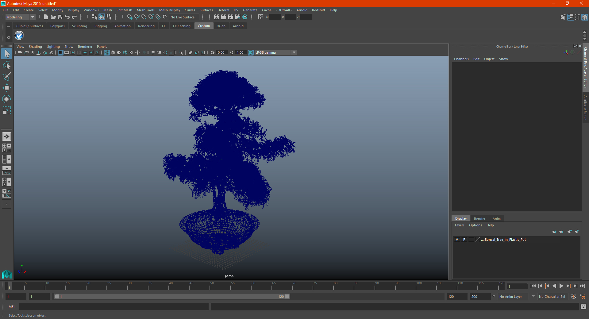 3D Bonsai Tree in Plastic Pot