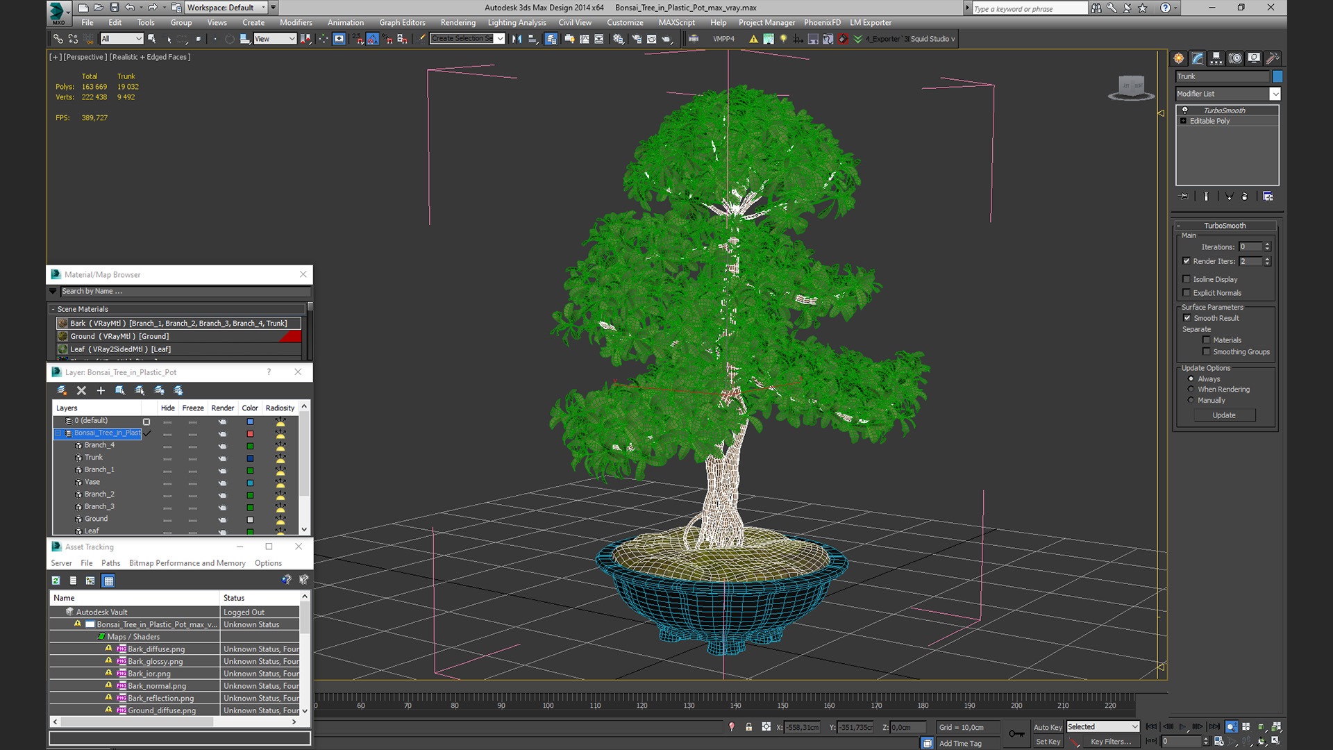3D Bonsai Tree in Plastic Pot