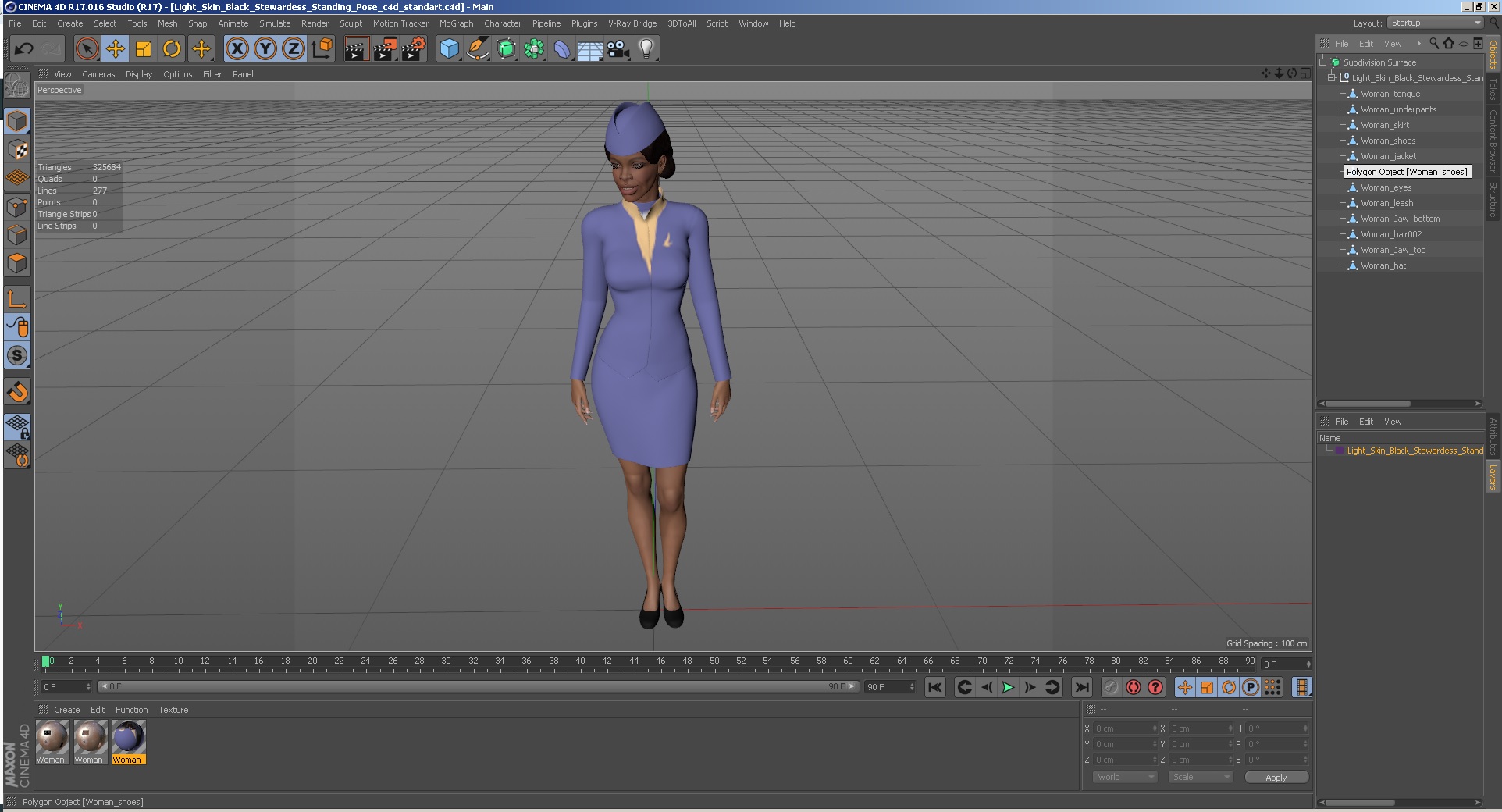 3D Light Skin Black Stewardess Standing Pose