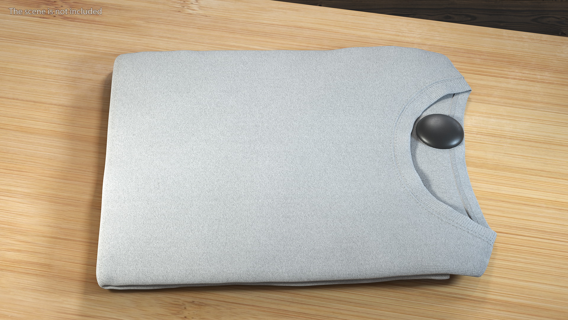3D model T-shirt with Dome Security Tag