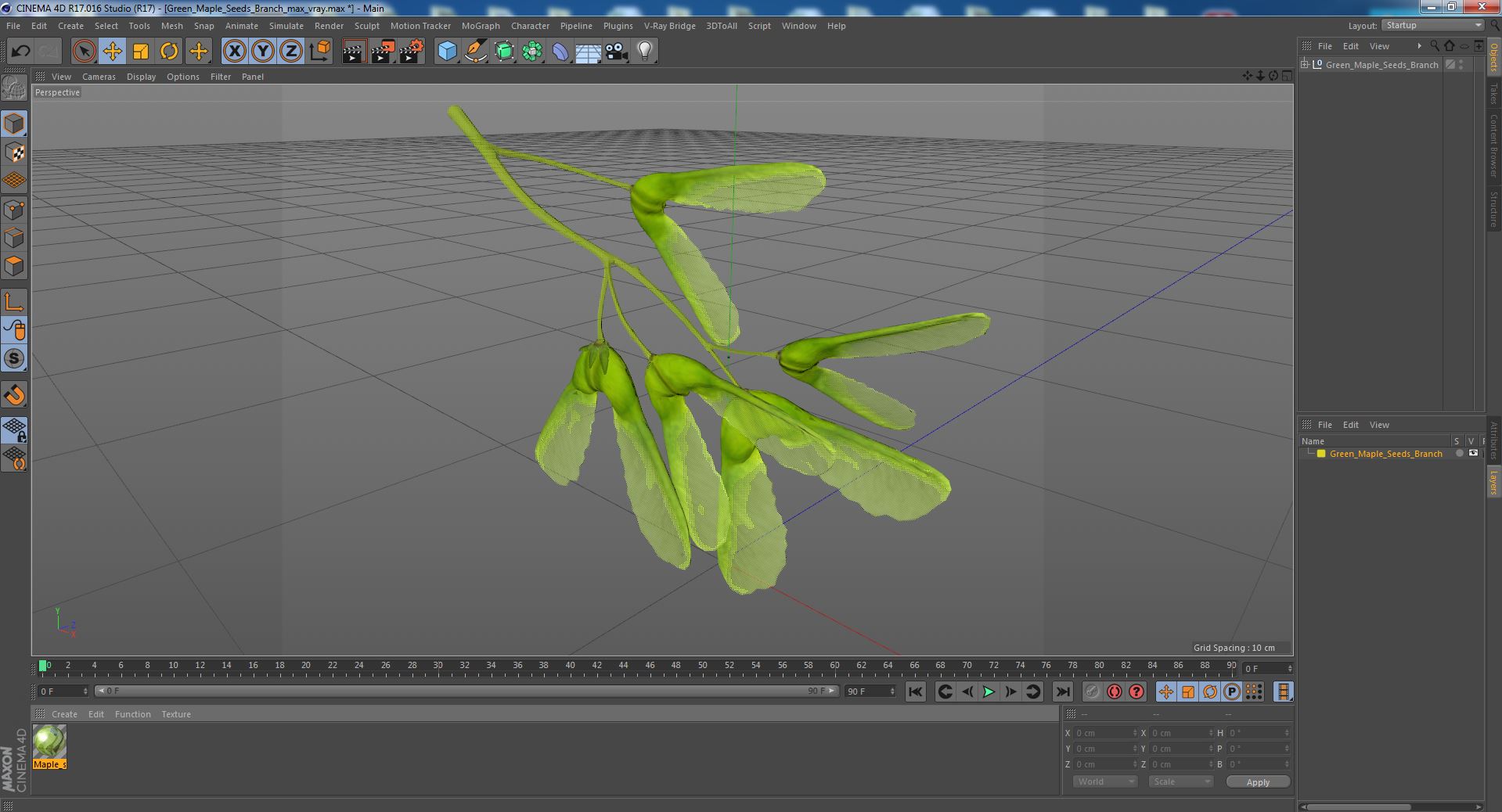 Green Maple Seeds Branch 3D model
