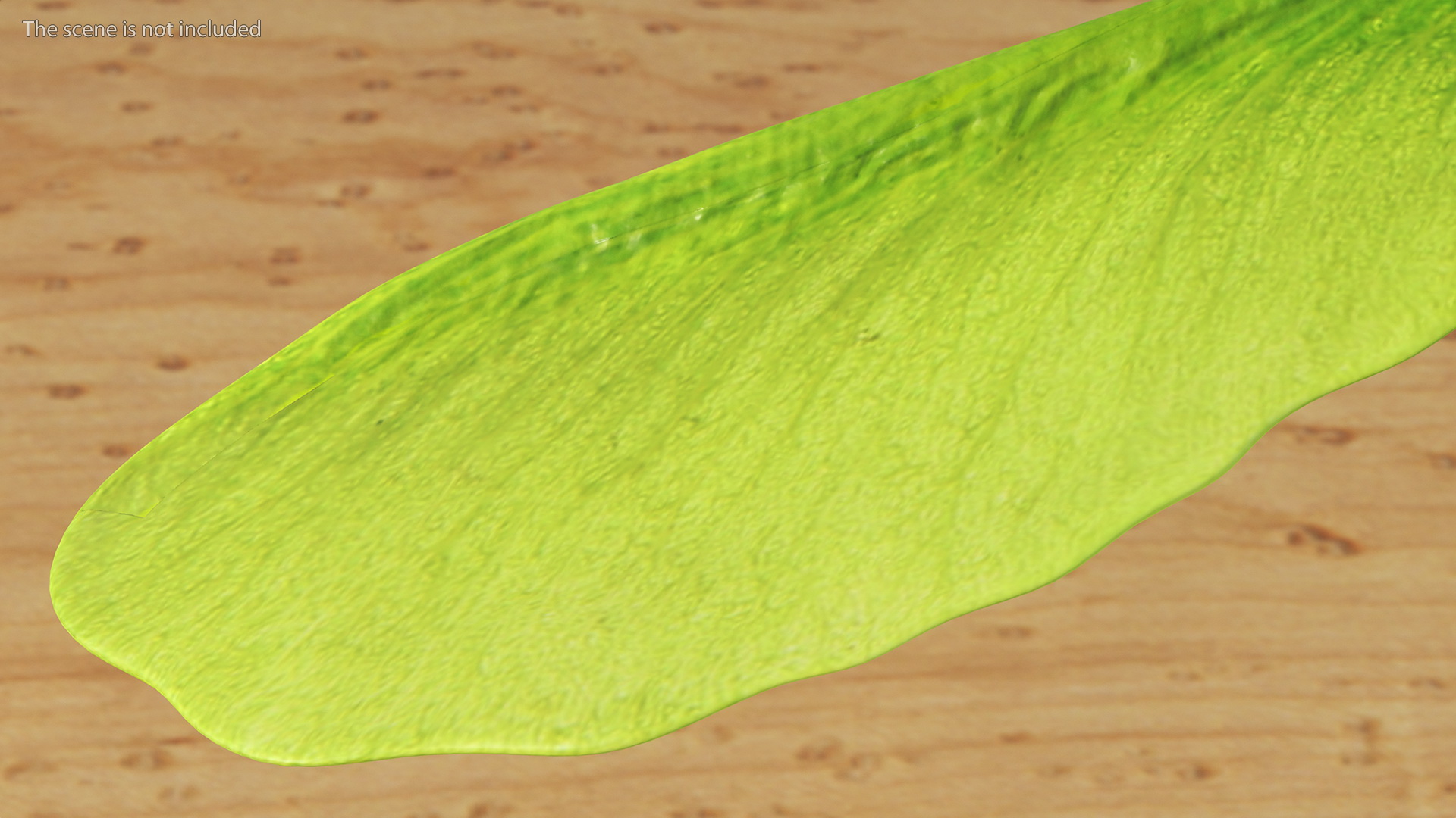 Green Maple Seeds Branch 3D model