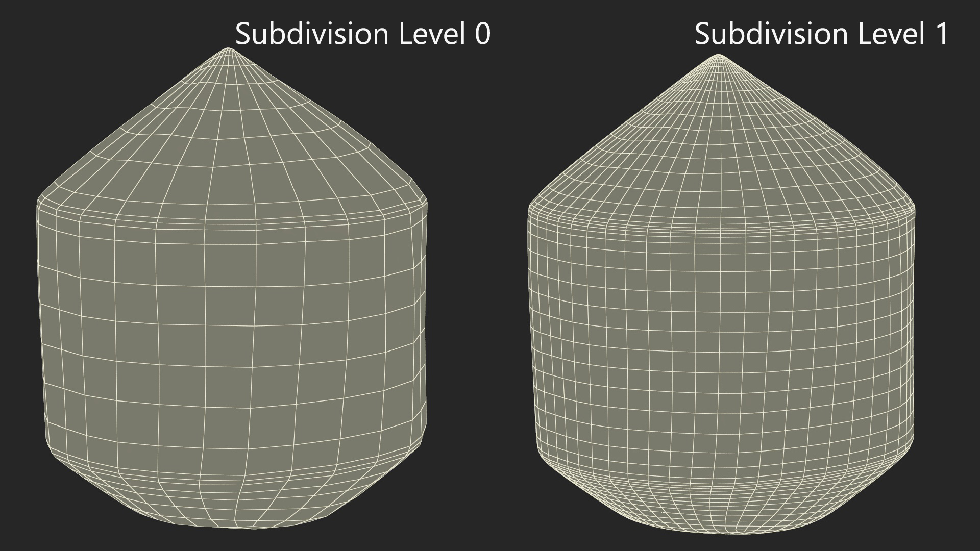 Fresh Young Shelled Coconut 3D