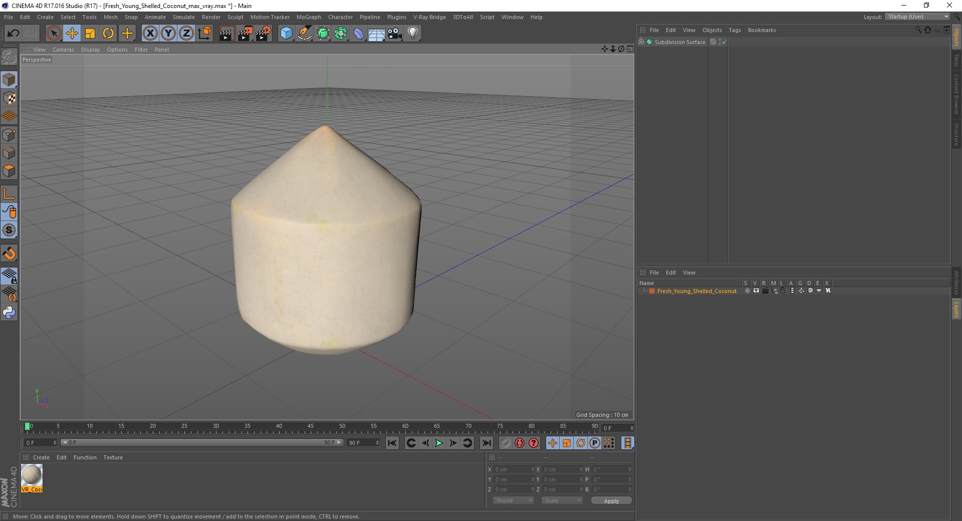 Fresh Young Shelled Coconut 3D