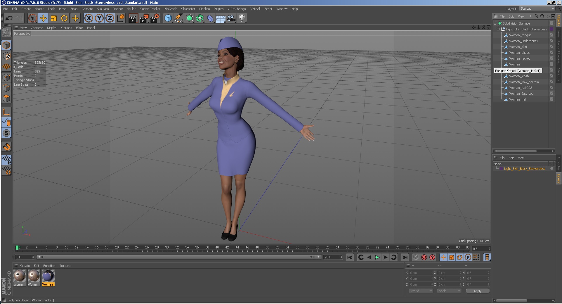 Light Skin Black Stewardess 3D