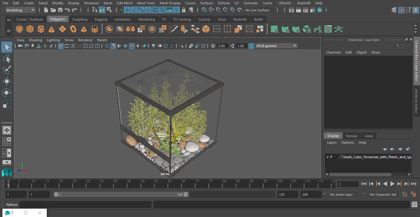 Small Cubic Terrarium with Plants and Iguana 3D model