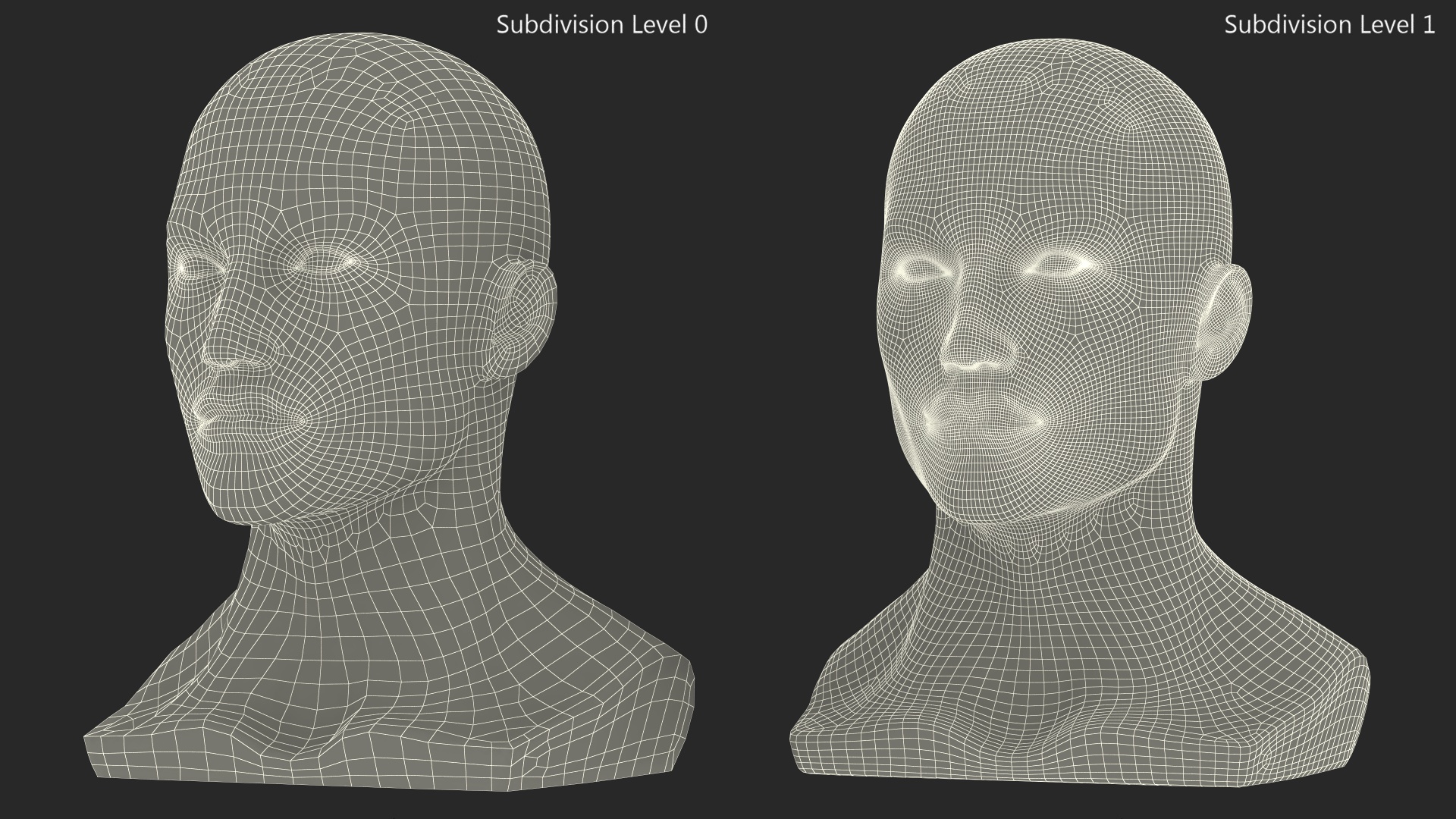 3D model Styrofoam Male Mannequin Head White