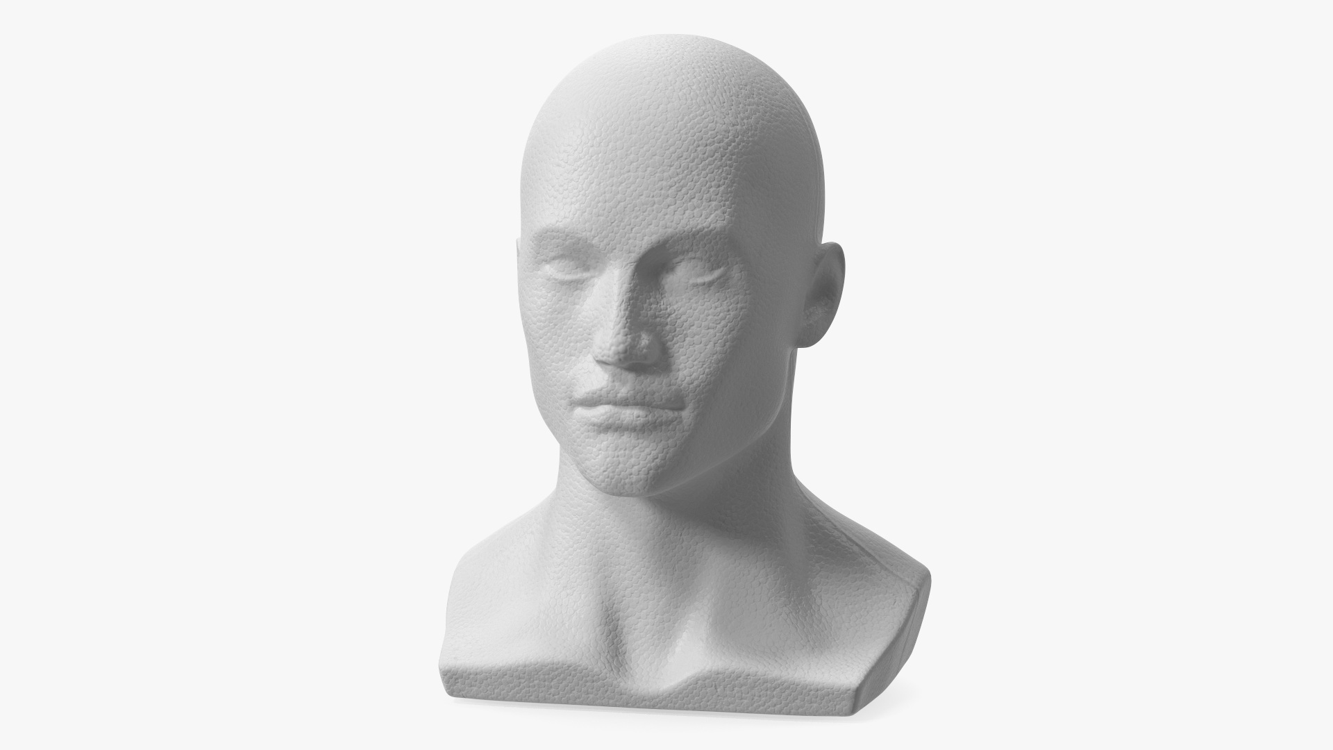 3D model Styrofoam Male Mannequin Head White