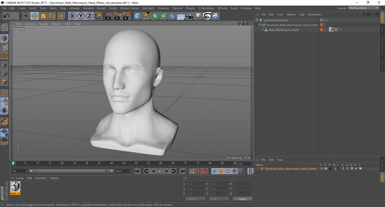 3D model Styrofoam Male Mannequin Head White