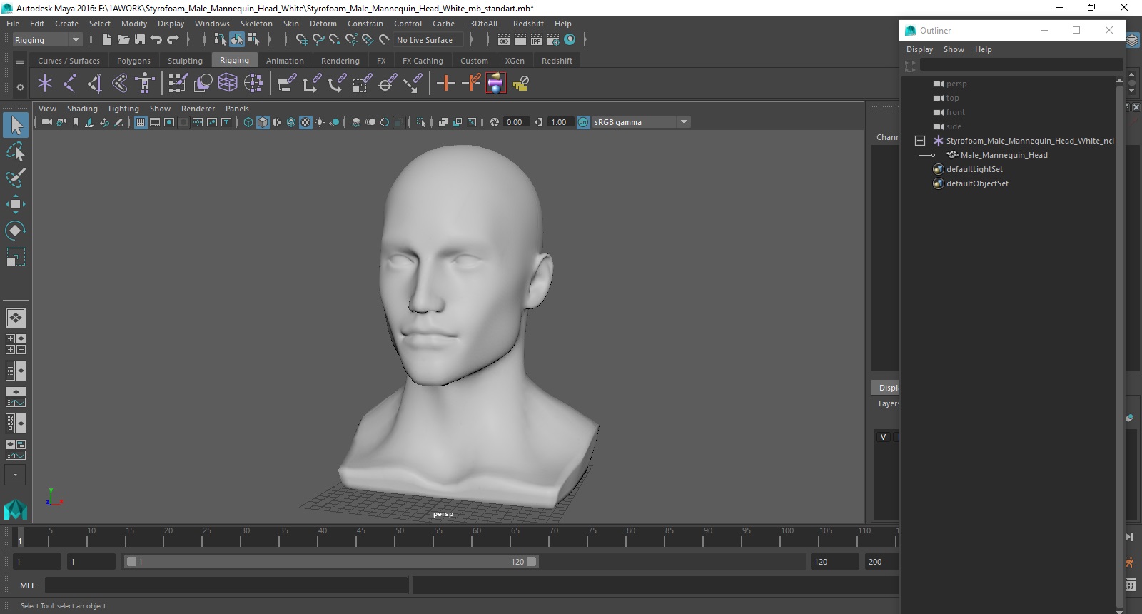 3D model Styrofoam Male Mannequin Head White
