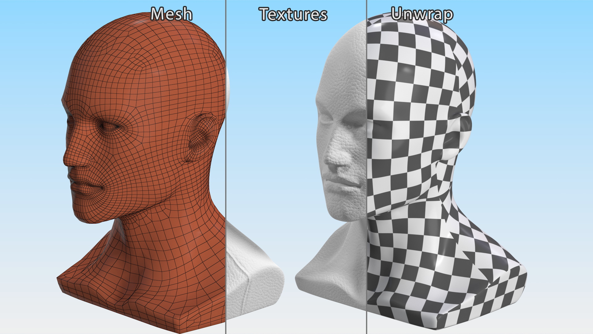 3D model Styrofoam Male Mannequin Head White