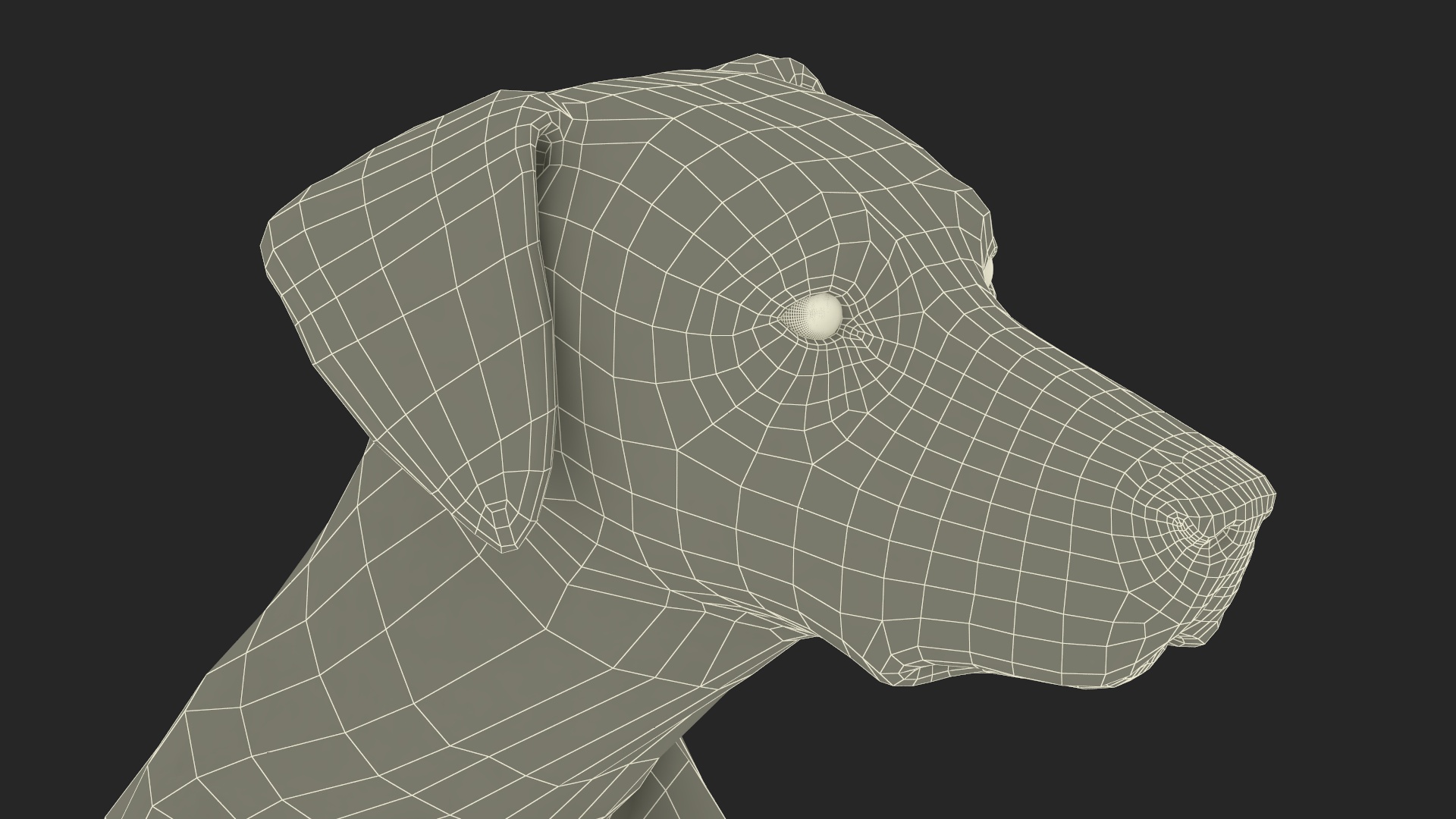 3D Dalmatian Dog Sitting Pose