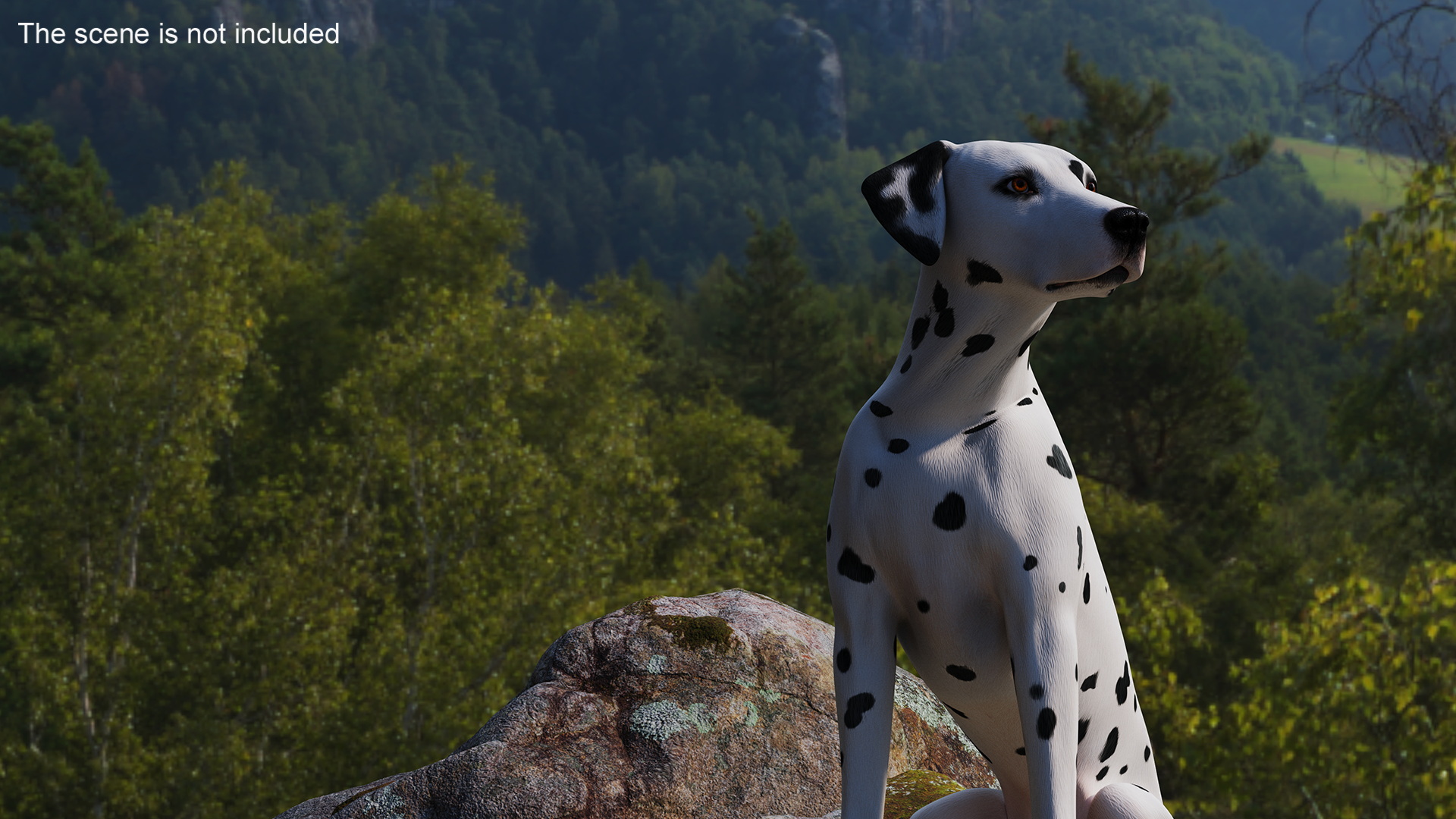 3D Dalmatian Dog Sitting Pose