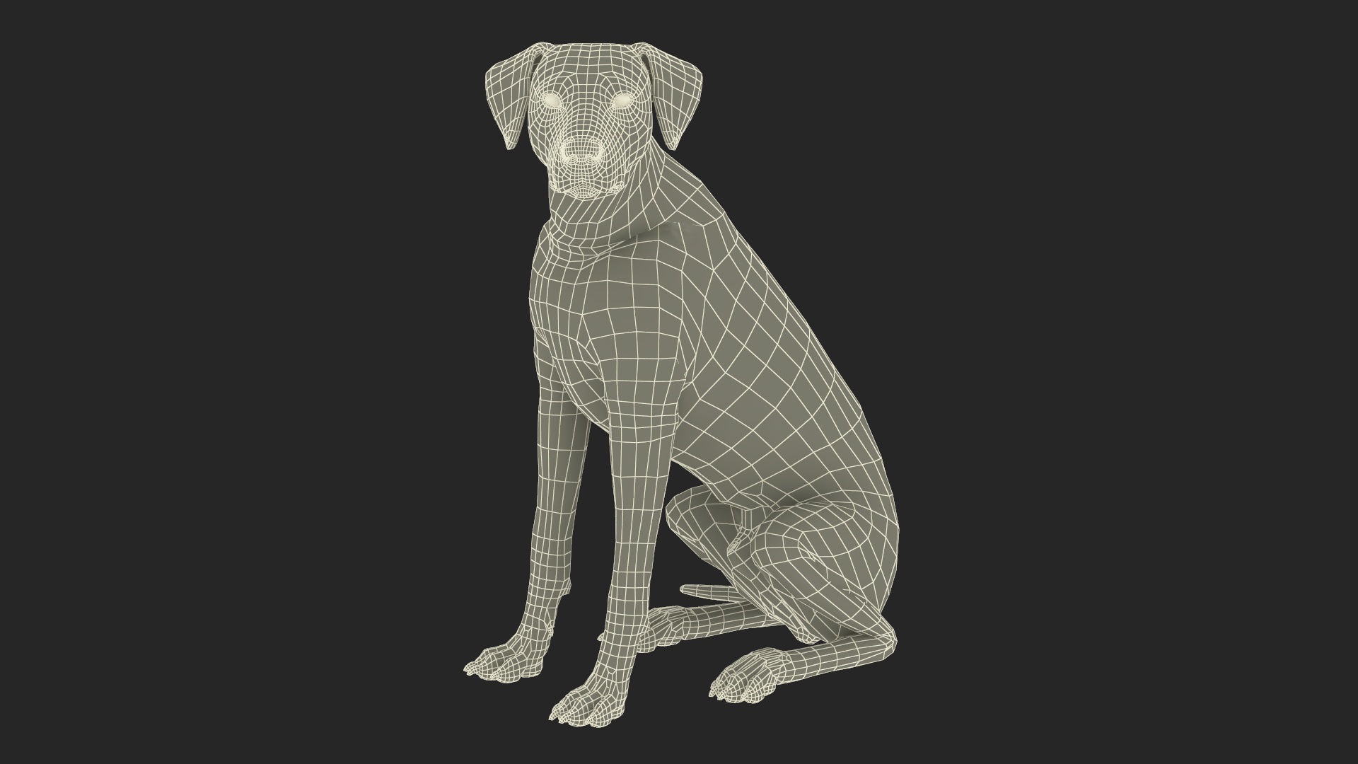 3D Dalmatian Dog Sitting Pose