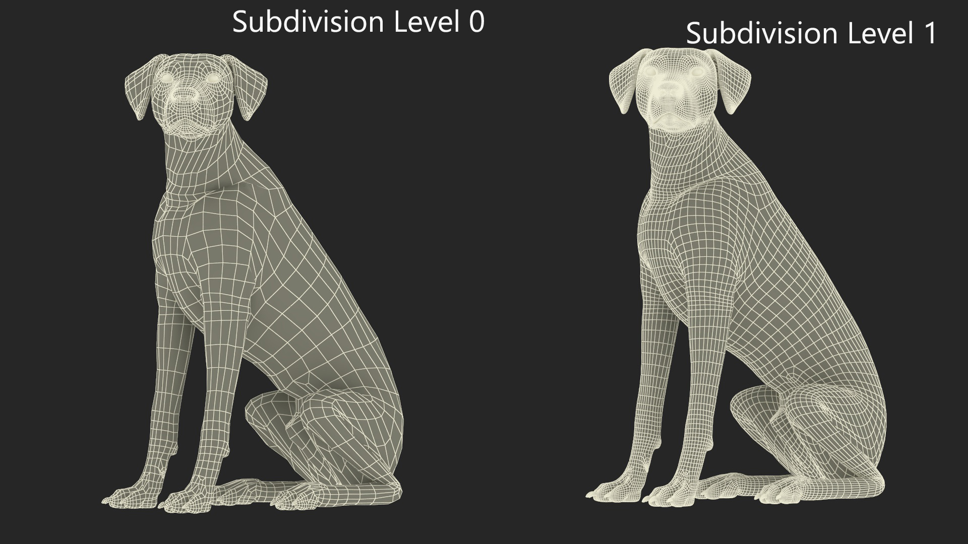 3D Dalmatian Dog Sitting Pose