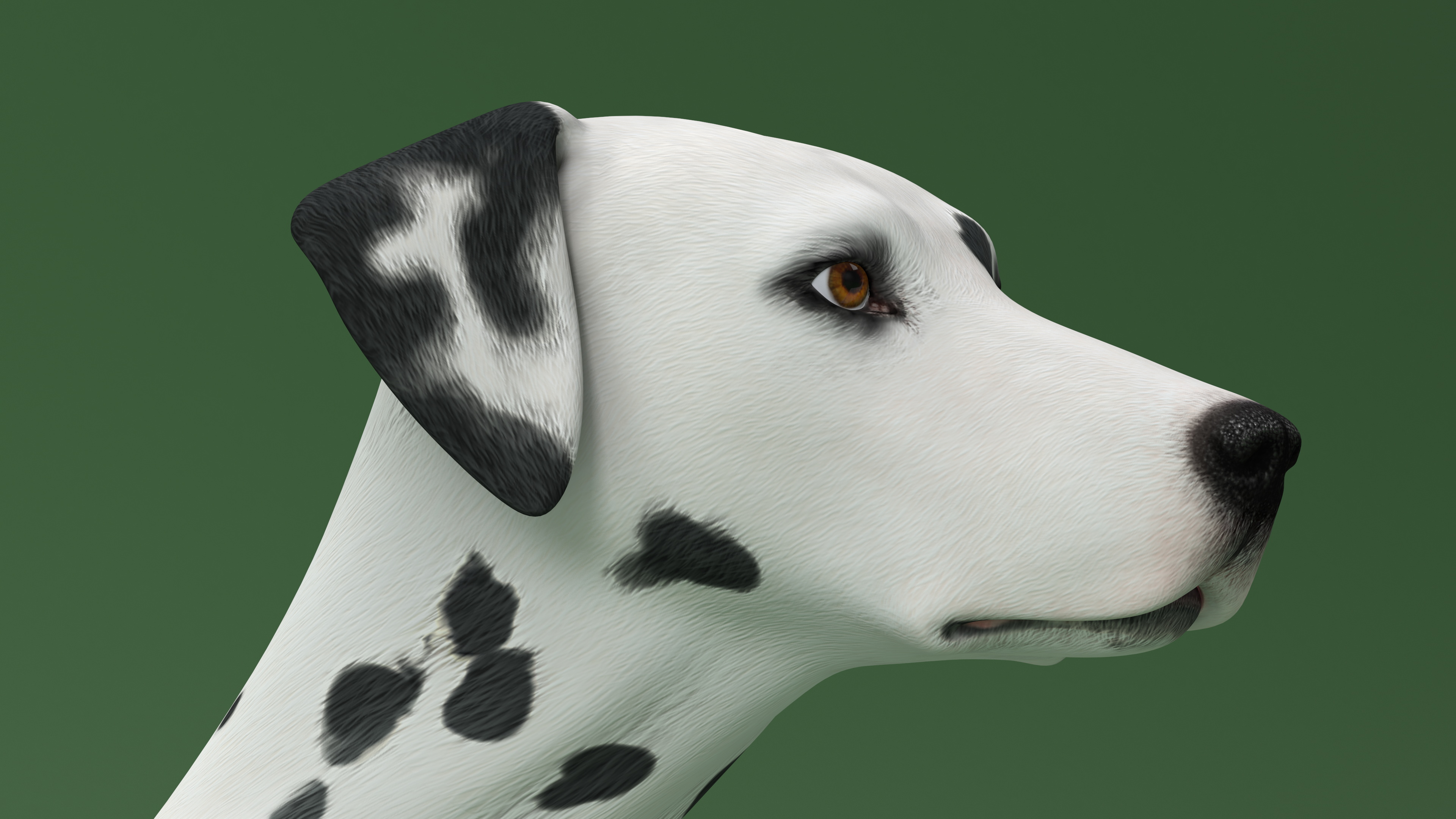 3D Dalmatian Dog Sitting Pose
