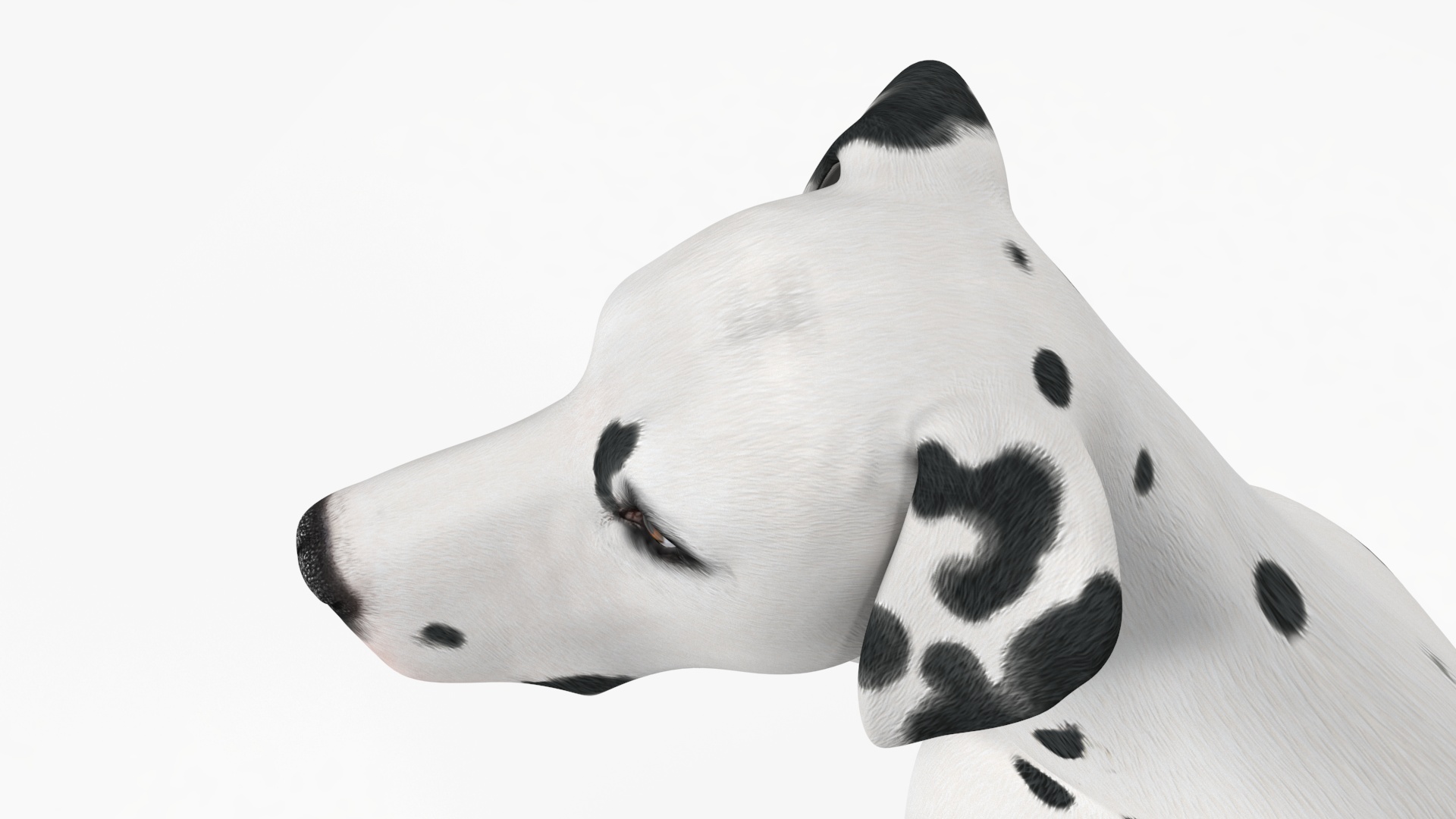 3D Dalmatian Dog Sitting Pose